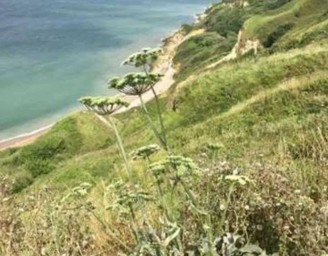 Apartman Les Escuries, Dependances Du Chateau Commes